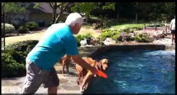 Tai practicing dock diving in the pool! May 18, 2014
