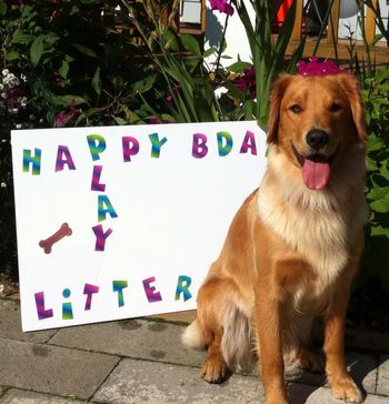 Maggie - Happy Birthday Play Litter!
