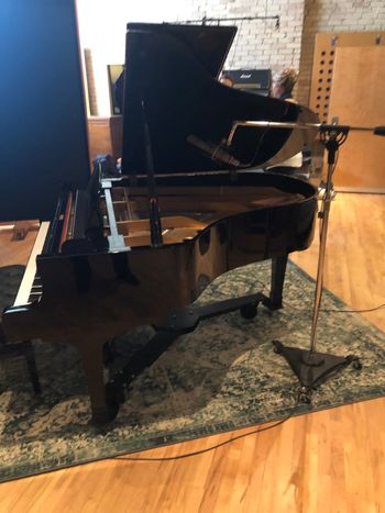 The Terrarium Recording Studio's AKG C12 used as Mono close piano mic
