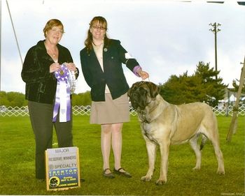 Reserve Winners Bitch, to a five point major. 37 bitches entered, under UK breeder judge Hilary Ann Sargeant
