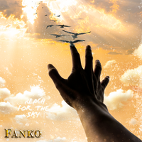 Reach For The Sky by Fanko