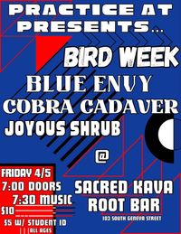 Bird Week / Blue Envy / Cobra Cadaver / Joyous Shrub