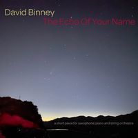 The Echo of Your Name by David Binney
