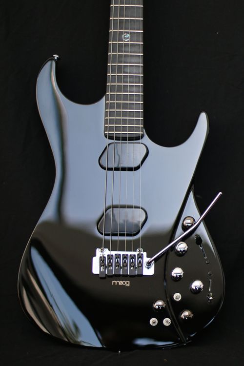 MOOG E1 Guitar