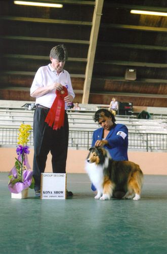 Group Two Orchid Island Dog Fanciers All Breed Show October 2008, Hilo, HI
