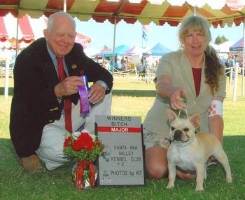 "EVIE" Shown winning a major at one of her first shows from the 6-9 mo puppy bitch class. What a thrill!!
