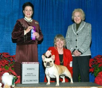 CH. MON PETIT CHOU YVETTE "EVIE" Sire: CH. Pawprint-Mizfit Dreamin Big Dam: CH. Mon Petit Chou Invisible Ink "Evie" won winner's bitch two of the three days of this circuit to finish her Championship. A beautiful mover and showy-show girl deluxe!! DOB: 02/06/06
