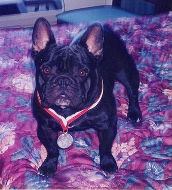 "BOOMER" IN THE HOTEL ROOM AT ONE OF THE NATIONALS HE ATTENDED, WEARING HIS MEDALLION WITH PRIDE.
