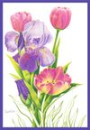 Tulip Passion Card