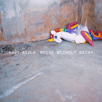 Noise Without Decay by Last Rizla