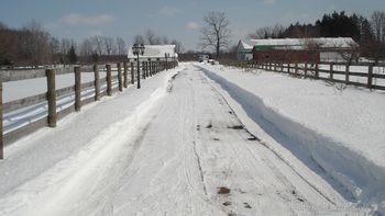 Winter on Hickory Lane
