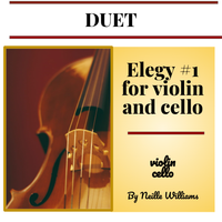 Elegy #1 for Violin and Cello by nwilliamscreative