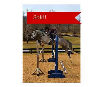 Liam has sold...congrats to everyon!

