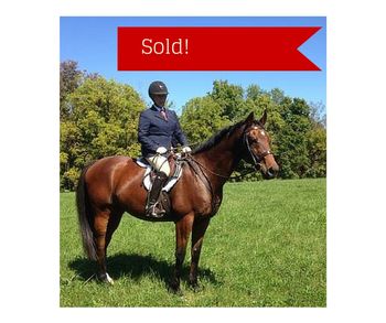 Easy Keeper has sold.  Congrats!
