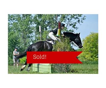 Augustus Hill has been sold!!
