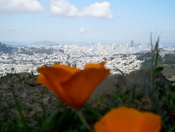 "On the Hill" San Francisco the home base(photo by PacB)
