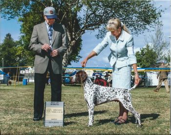 Ch. Lahrheim's Perfect Bet ~ Luger. Finished at 14 months old, BOS over a special.
