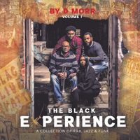 The Black Experience - Vol I by DMORR