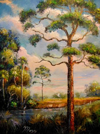 "Florida Slash Pine Tree " 16 by 20" Oil on Board, July 27th, 2023.  (ORIGINAL is Available)  Or you can  Buy a Framed  or Unframed Print Here! 

