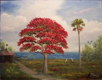 Royal Poinciana Tree- Dock 16 by 20" Oil on Board. Painted Nov. 11th, 2006 (SOLD - Collector in Port St. Lucie, FL)
