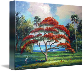 'Royal Poinciana' 16 by 20" Oil on board. Lots of knifework. Painted June 27th, 2007 (Not available - in Private Collection)  Buy a Framed  or Unframed Print Here! 
