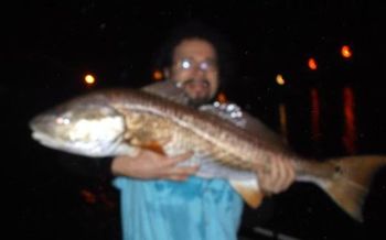 Redfish, also known as the Red Drum. Mazz caught this in the Indian River Lagoon, Sebastian Florida. He used a small crab for bait. July 7th 2013
