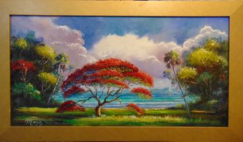 "Royal Poinciana Tree Overlooking the Lagoon" 15 by 29" Oil on Board Aug 9th 2022.  (ORIGINAL was Destroyed) but You can  Buy a Framed  or Unframed Print Here! 
