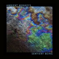 SENTIENT BEING by AMBIENT MONKEYS 