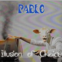 Illusion Of Choice by Pablo