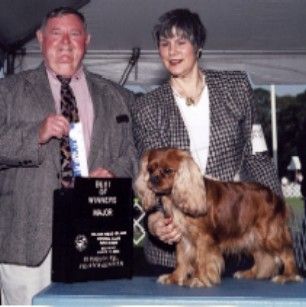 Pratt Christmas Special, a ruby owned by Patricia Powers won a 4 pt. Major out of Bred By Exhibitor class at his first AKC show. Cabell won Winners Dog and Best of Winners. Cabell is shown here after winning Best of Winners out of Bred By at the Hilton Head Show.
