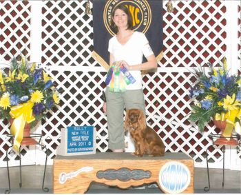 Two Trials in 1 day: StormCastle's Flowering Abigail finished her Rally Novice (RN) title. Abby scored 1st place on her 2nd leg & scored 1st place on her 3rd leg earning her title.
