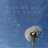 Nothing But Blue Skies: CD