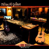 Calling All Guitars by Ric Oliva