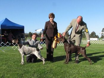 Lois judging the German Shorthaired Pointer Championship Show in Victoria 2007.

