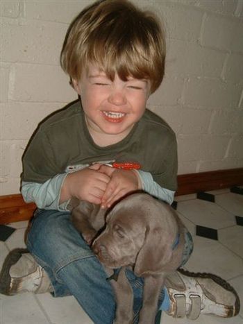Jayden Hann with a puppy from his 'Miss B'
