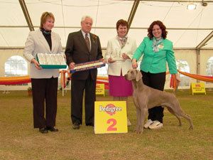 RUNNER UP BEST IN SHOW - Adelaide Royal 2003 (over 3,500 dog entered)
