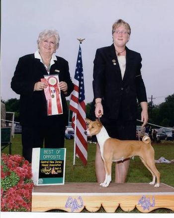 Best Veteran and Best of Opposite Sex over younger specials at the Central New Jersey Hound Association Sept 4, 2003.
