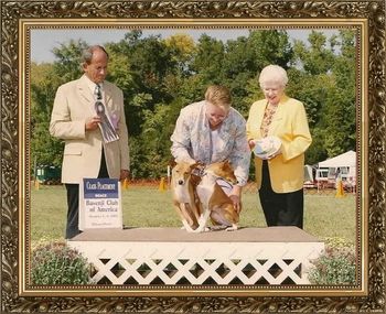 Even behaving very bad and not being happy campers with each other AKC CH/UKC Grand CH Rafiki's Memories or Midnight,CGC,JC & AKC CH/UKC Grand CH Akuaba The Opulecent PearlCGC,JC some how manage to take a 2nd place.
