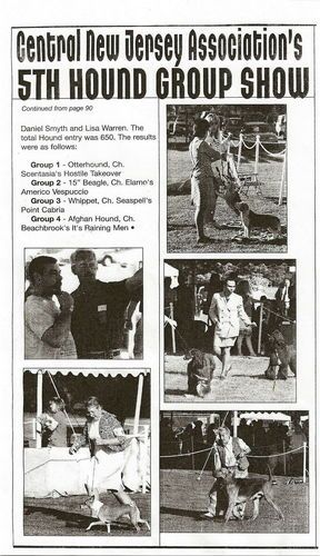 Peal featured in Dog News at the Central New Jersey Association's 5th Hound Show.
