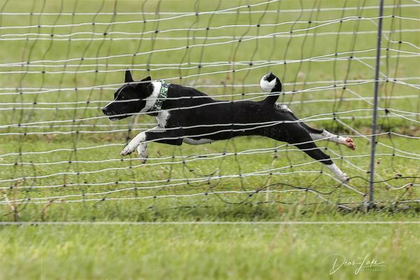 Yuna racing for her BCAT.