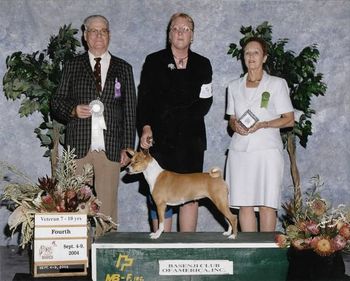 BCOA Nationals 2004 - Veteran 7-10years old placement. Breeder Judge Mr. M Wallace.
