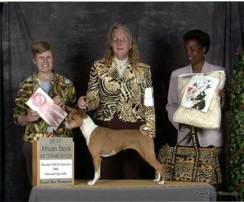 Best African Stock Veteran Bitch- BCOA Nationals 2006-Warrick RI Breeder Judge: Susan Coe
