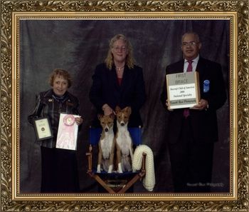 AKC CH/UKC Grand CH Rafiki's Memories or Midnight,CGC,JC & AKC CH/UKC Grand CH Akuaba The Opulecent Pearl,CGC,JC going Best Brace in Speciality Show at the BCOA Nationals In Rhode Island in 2006.
