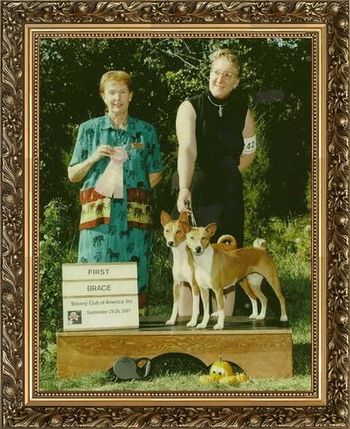 AKC CH/UKC Gr CH Rafiki's Memeories of Midnight JC, CGC and AKC CH/UKC Gr CH Akuaba The Opulecent Pearl,JC,CGC winning their BISS Brace Win at the BCOA Nationals 2001.
