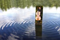 Cello in Reflection Postcard - Lake
