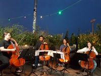 5 Albums + Cello Quartet Concert in Germany - 1500€ or more