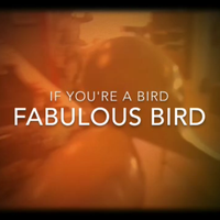 If You're A Bird by fabulousBird