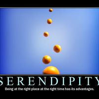 Serendipity by Rayband