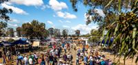 The Australian Camp Oven Festival - Millmerran 
