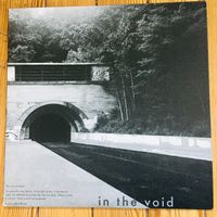 In The Void: Vinyl